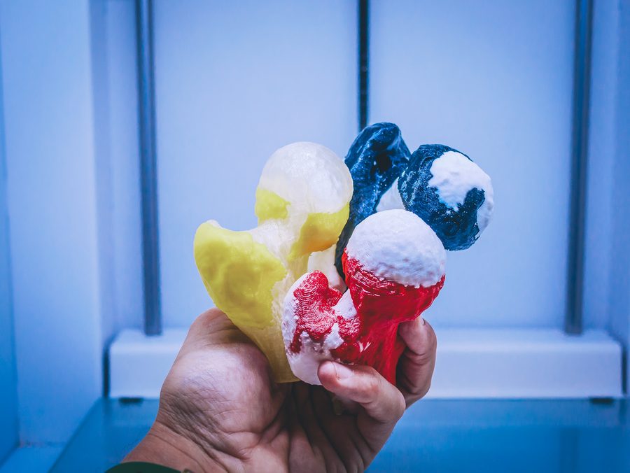 Biomodelos óseos impresos en 3D en distintos colores