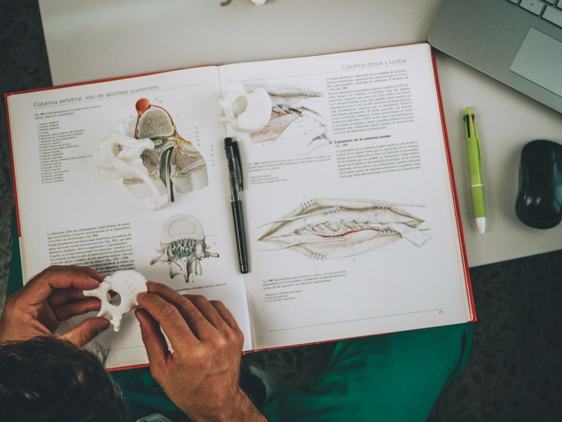 Estudio de un modelo anatómico impreso en 3D junto al manual del proyecto